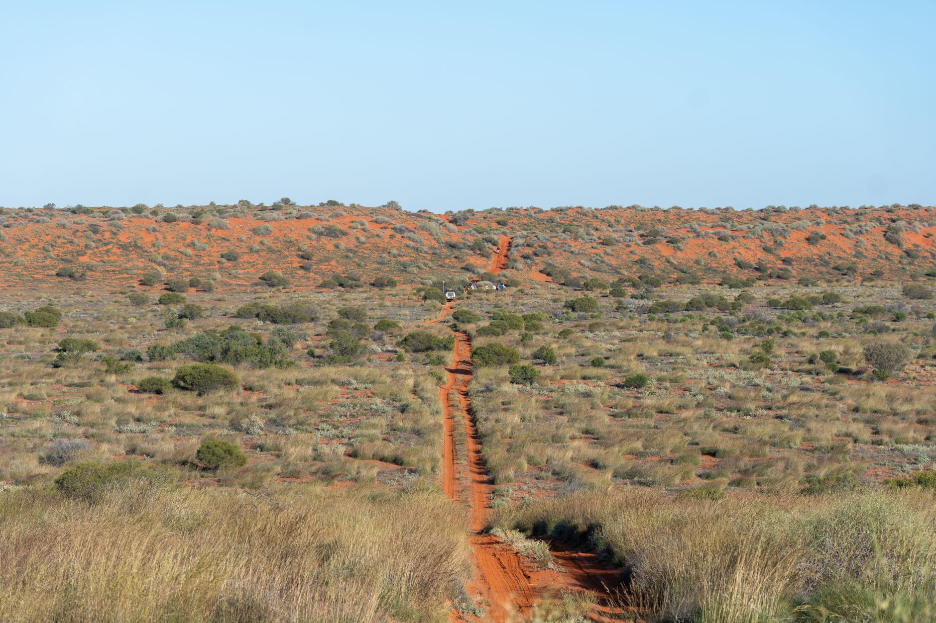 Le diamant mandarin à l'état sauvage en Australie 5 Habitat naturel du diamant mandarin : savane aride australienne, végétation sèche et sol rouge